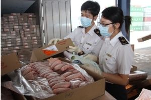 深圳凍肉進(jìn)口報(bào)關(guān)公司；深圳到香港物流-深圳東勝物流
